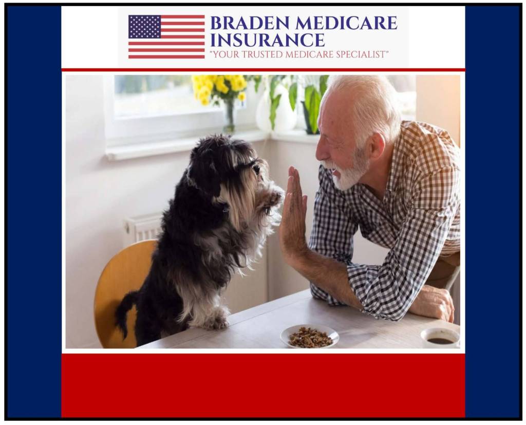 WHY DOGS ARE THE BEST COMPANIONS FOR SENIORS